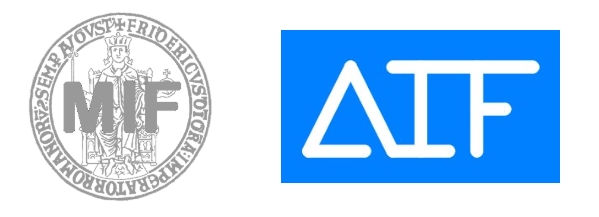 Master in Ingegneria Forense (MIF17) a.a. 2024-25